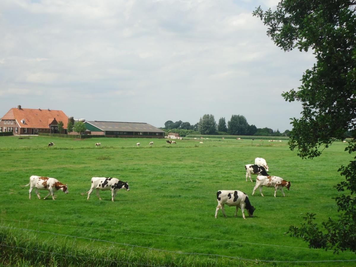 Klein Vreugderijk Bed and Breakfast Zwolle  Eksteriør billede