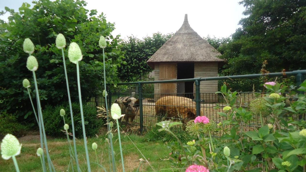 Klein Vreugderijk Bed and Breakfast Zwolle  Eksteriør billede